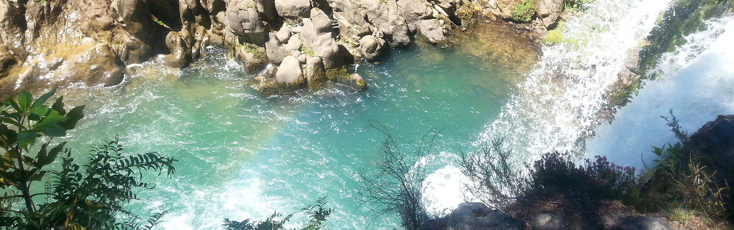 National Park Tawhai Falls Stray NZ